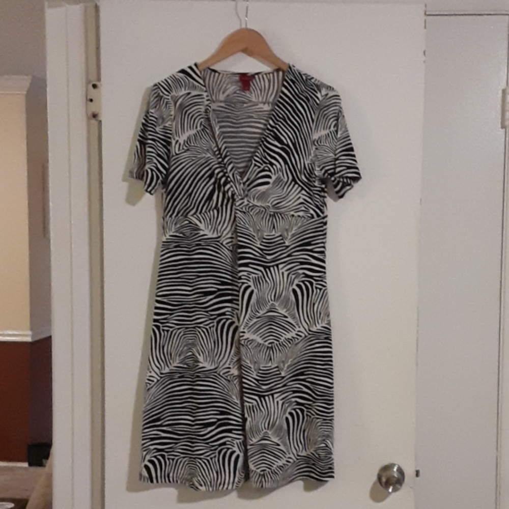 Zebra stripes dress